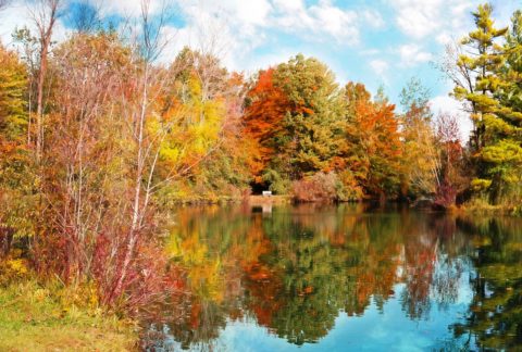 automne et réflexologie