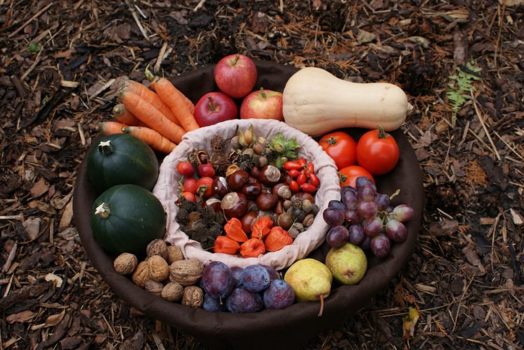 fruits légumes immunité
