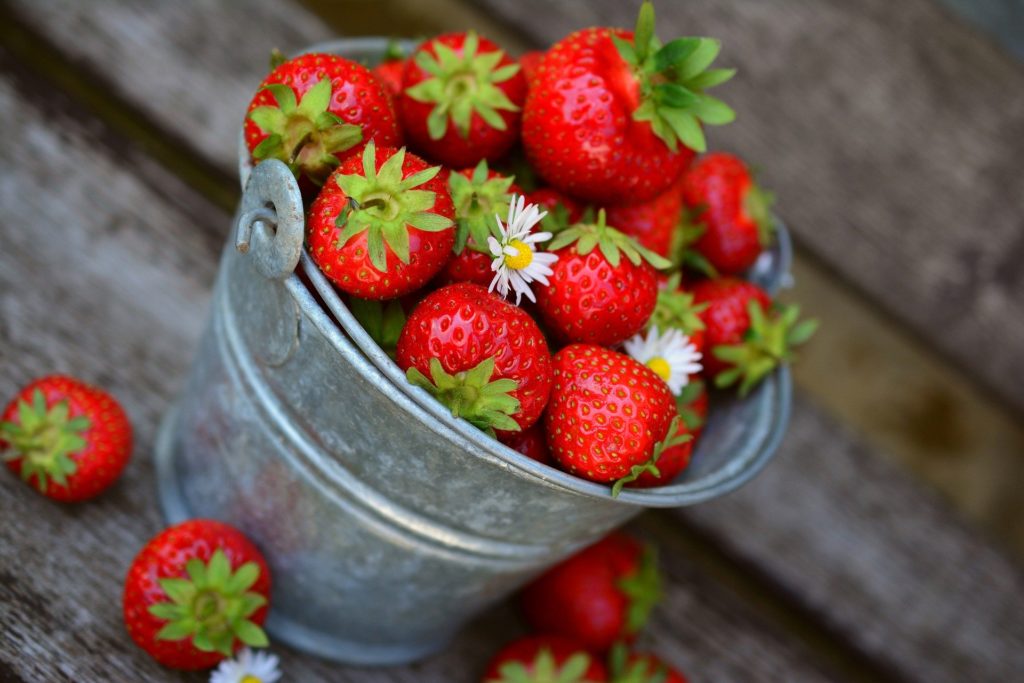 fraise printemps aliment