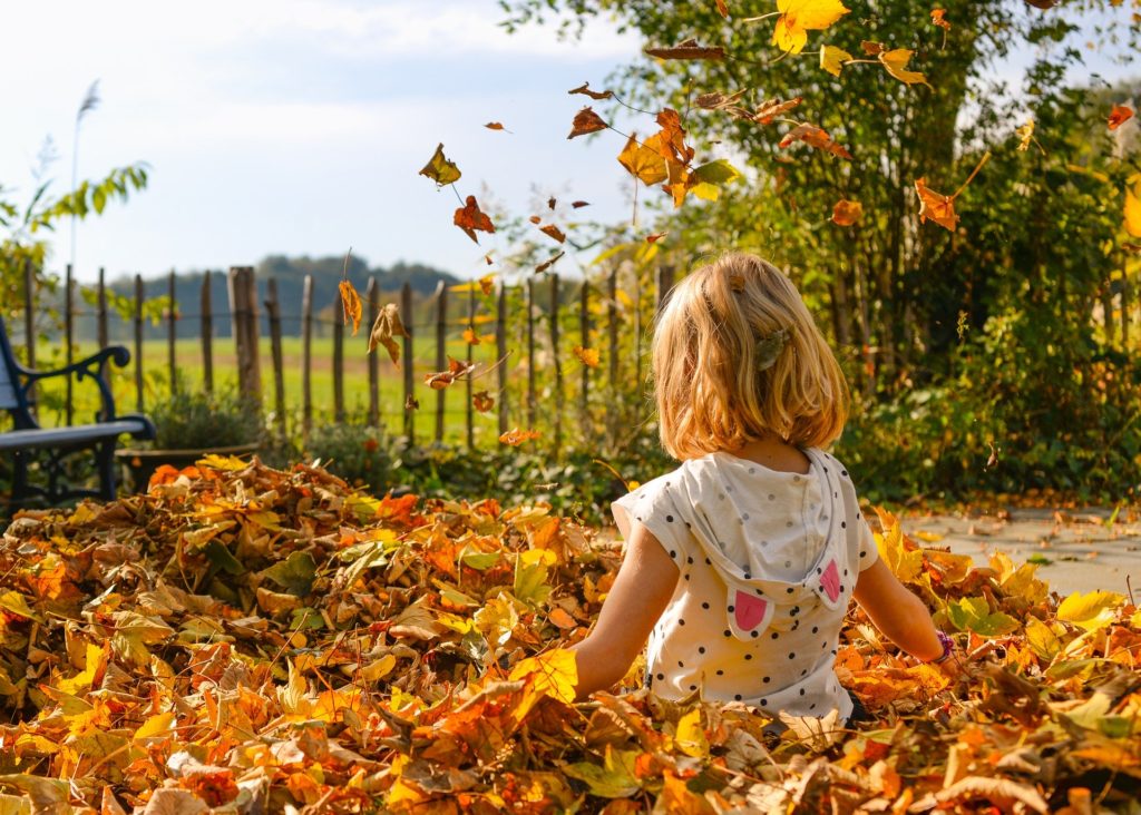 Nature feuilles automne