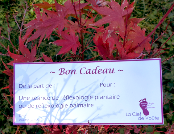 Bon cadeau réflexothérapie St Gély du Fesc