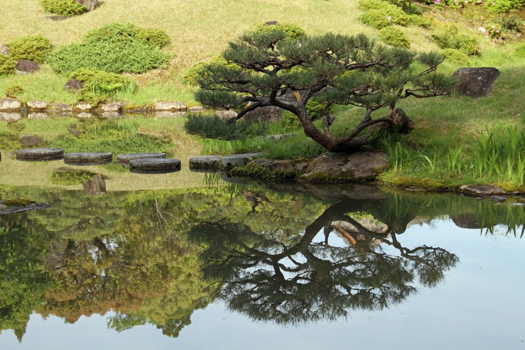 jardin Zen