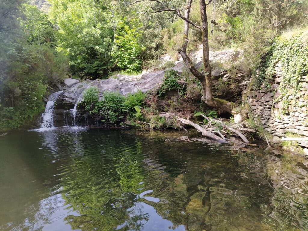 cascade nature