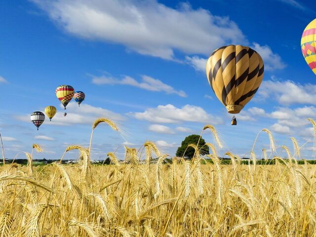 lâcher prise liberté